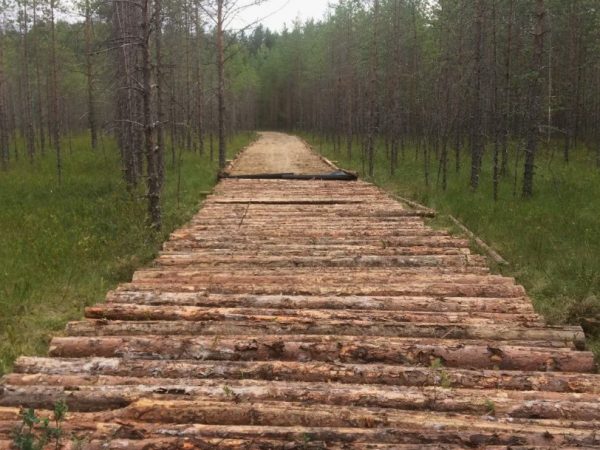 Строительство лежневых дорог как надежное решение для труднопроходимых участков
