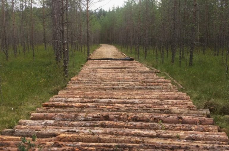 Строительство лежневых дорог как надежное решение для труднопроходимых участков